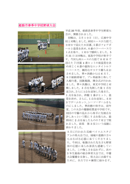 中学校野球春季大会 [418KB pdfファイル]
