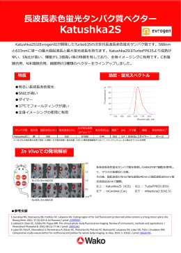 長波長赤色蛍光タンパク質ベクター Katushka2S