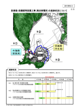 防潮堤・防護壁等設置工事（美浜発電所）の進捗状況について
