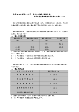 平成24年度)(206KBytes)