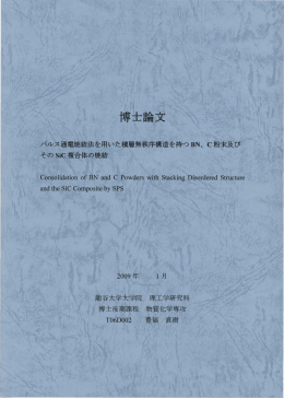 その SiC複合体の焼結