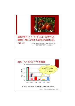 調理  トマト`すずこま`の特性と 植物  場における周年供給体制に ついて