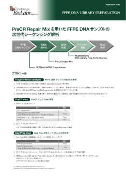 141103_FLY_FFPE DNAライブラリー調製試薬_フライヤー.indd