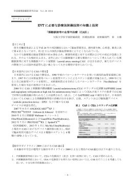 頸動脈狭窄の血管内治療（CAS）