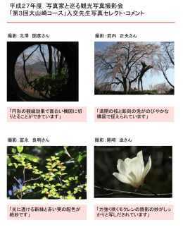 入交先生コメント付き写真( PDFファイル ,766KB)