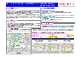 県・市・民間連携による連鎖型観光・にぎわい機能整備手法検討調査