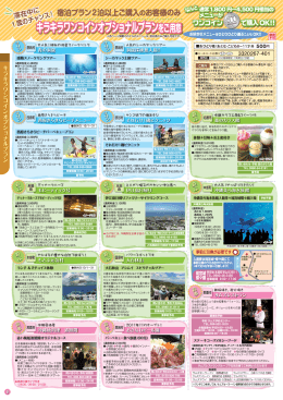 キラキラワンコインオプショナルプランをご用意 キラキラ