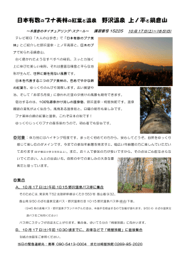 日本有数のブナ美林の紅葉と温泉 野沢温泉 上ノ平 と鍋倉山