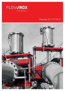 Flowrox ピンチバルブ