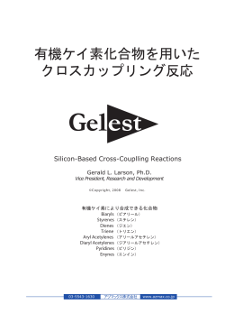 クロスカップリング試薬