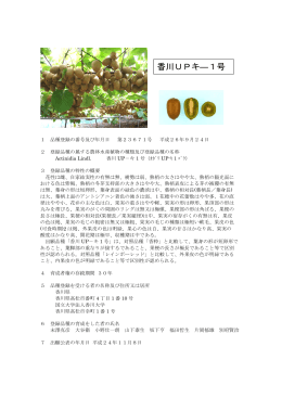香川UPキ―1号 - 香川大学農学部
