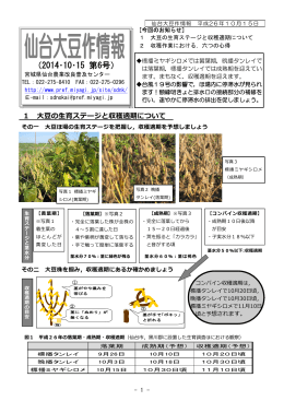 平成26年度大豆作情報第6号 [PDFファイル／943KB]