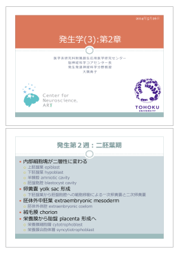 医学部発生学(3)【】