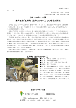 多肉植物｢王犀角（おうさいかく）｣の奇花が開花 王