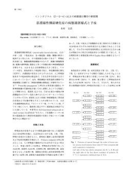筋萎縮性側索硬化症の病態進展様式と予後