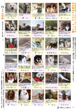 380KB pdfファイル