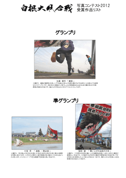 入選作品リスト（PDF：634KB）