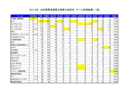 2014年 県大会 投球記録