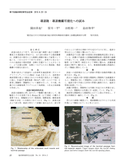 導涙路・導涙機構可視化への試み