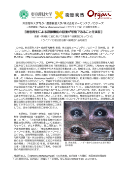 『器官再生による涙腺機能の回復が可能であることを実証』