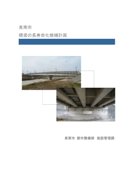 泉南市 橋梁の長寿命化修繕計画