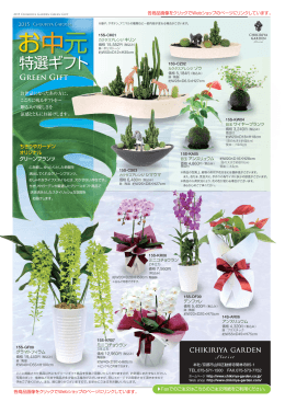 おせわになったあの方に・・・お中元特選ギフト