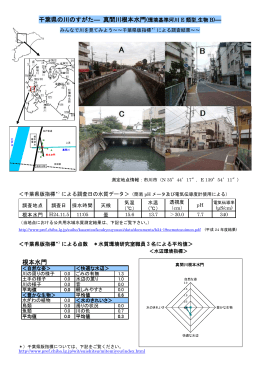 千葉県の川のすがた― 真間川根本水門 ― 根本水門