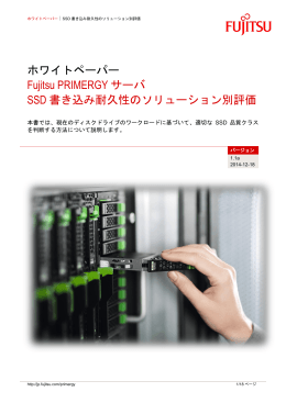 SSD 書き込み耐久性のソリューション別評価 （v1.1a）