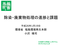 除染・廃棄物処理の進捗と課題