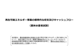 再  可能エネルギー事業の標準的な収  及びキャッシュフロー