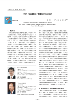 DNA 内過剰電子移動速度の決定