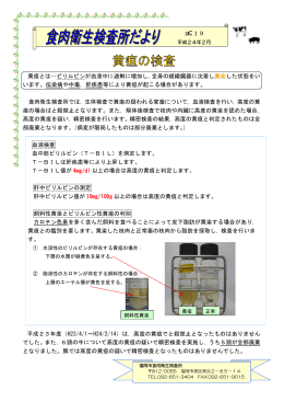 黄疸とは…ビリルビンが血液中に過剰に増加し，全身の組織