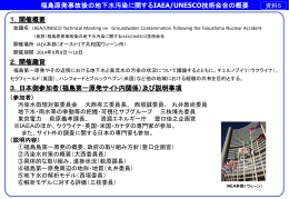 IAEA/UNESCO技術会合