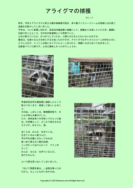 アライグマの捕獲