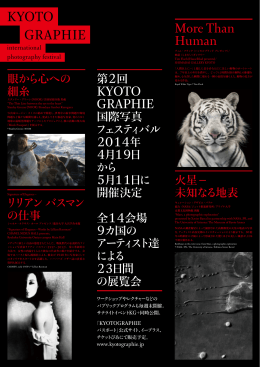 PDF (in japanese)