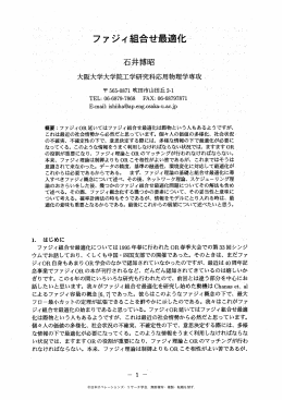 ファジィ組合せ最適化