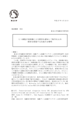 ヒト細胞が放射線による障害を感知して転写を止め 障害を修復する