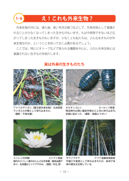 1章後半 - 千葉県生物多様性センター/トップページ