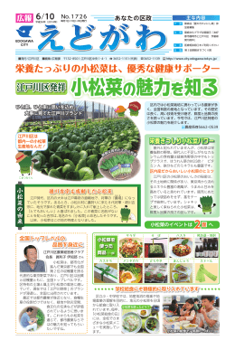 栄養たっぷりの小松菜は、優秀な健康サポーター 江戸川区発祥 小松菜