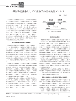 微生物培養系としての生物学的排水処理プロセス