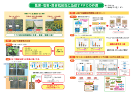 乾害・塩害・霜害抵抗性に及ぼすFFCの作用