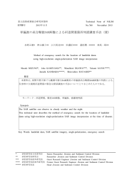 単偏波の高分解能SAR画像による河道閉塞箇所判読調査手法（案）