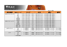 備考 露出 状況 媒体種類 サイズ