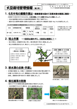 印刷用データはこちらです