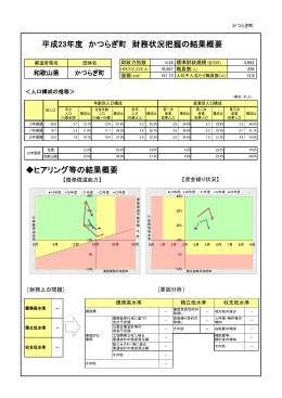 平成23年度 かつらぎ町 財務状況把握の結果概要 ヒアリング等の結果概要