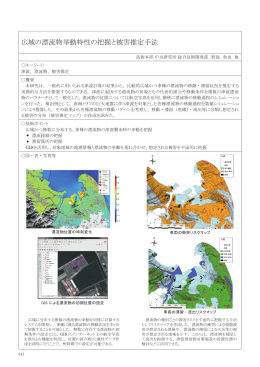 広域の漂流物挙動特性の把握と被害推定手法