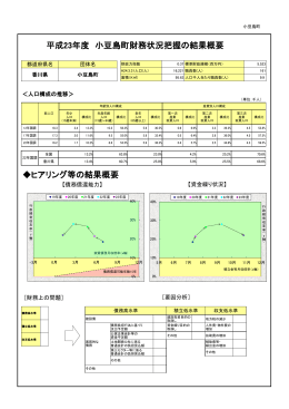 平成23年度 小豆島町財務状況把握の結果概要 ヒアリング等の結果概要