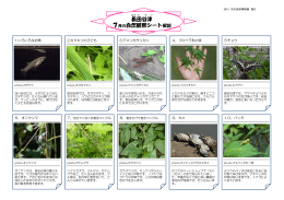 （7月）「みどころ解説」（PDFファイル333kb）