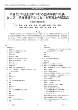平成 26 年改正法における救済手続の概要， および