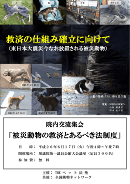 救済の仕組み確立に向けて - 全国動物ネットワーク ANIMAL NETWORK